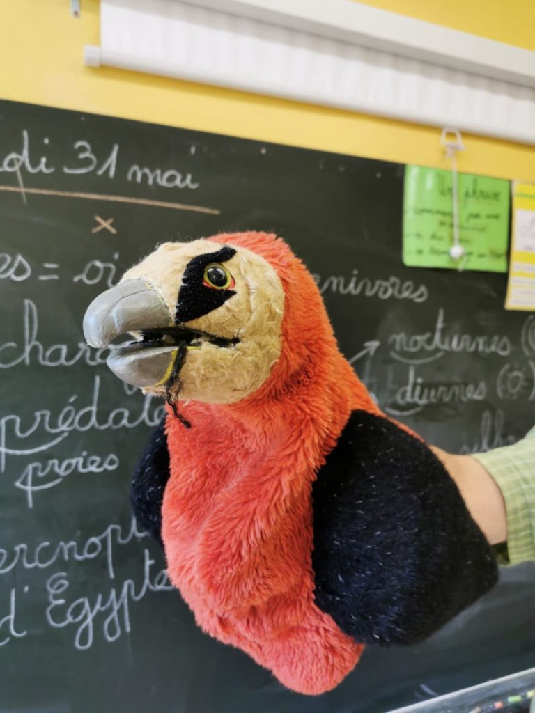 primaire